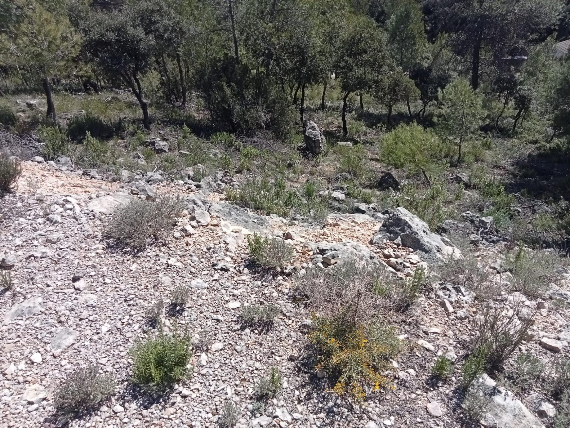 Tegeisa vende parcela de 890 m2 - foto 2