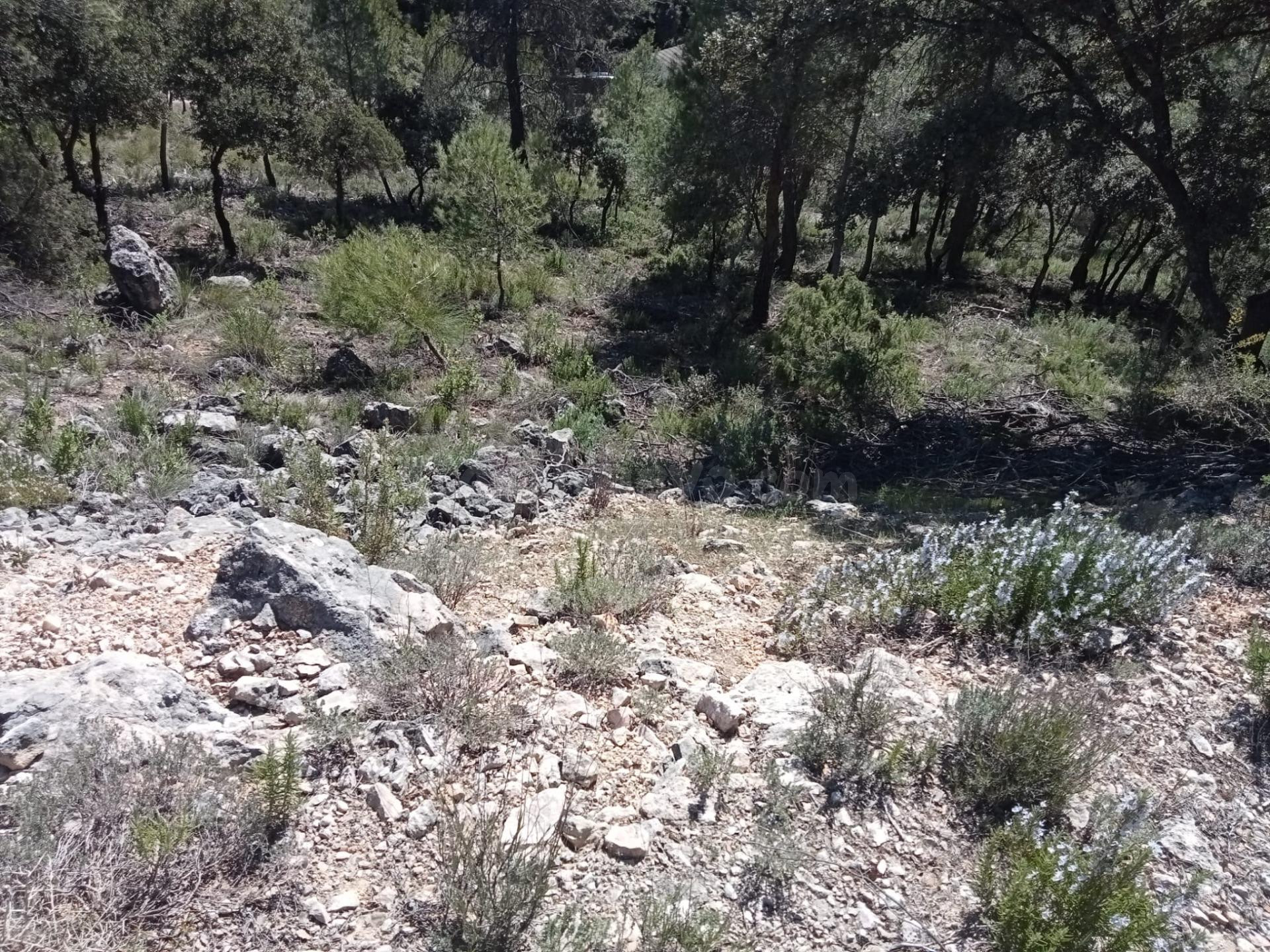 Tegeisa vende parcela de 890 m2 - foto 3