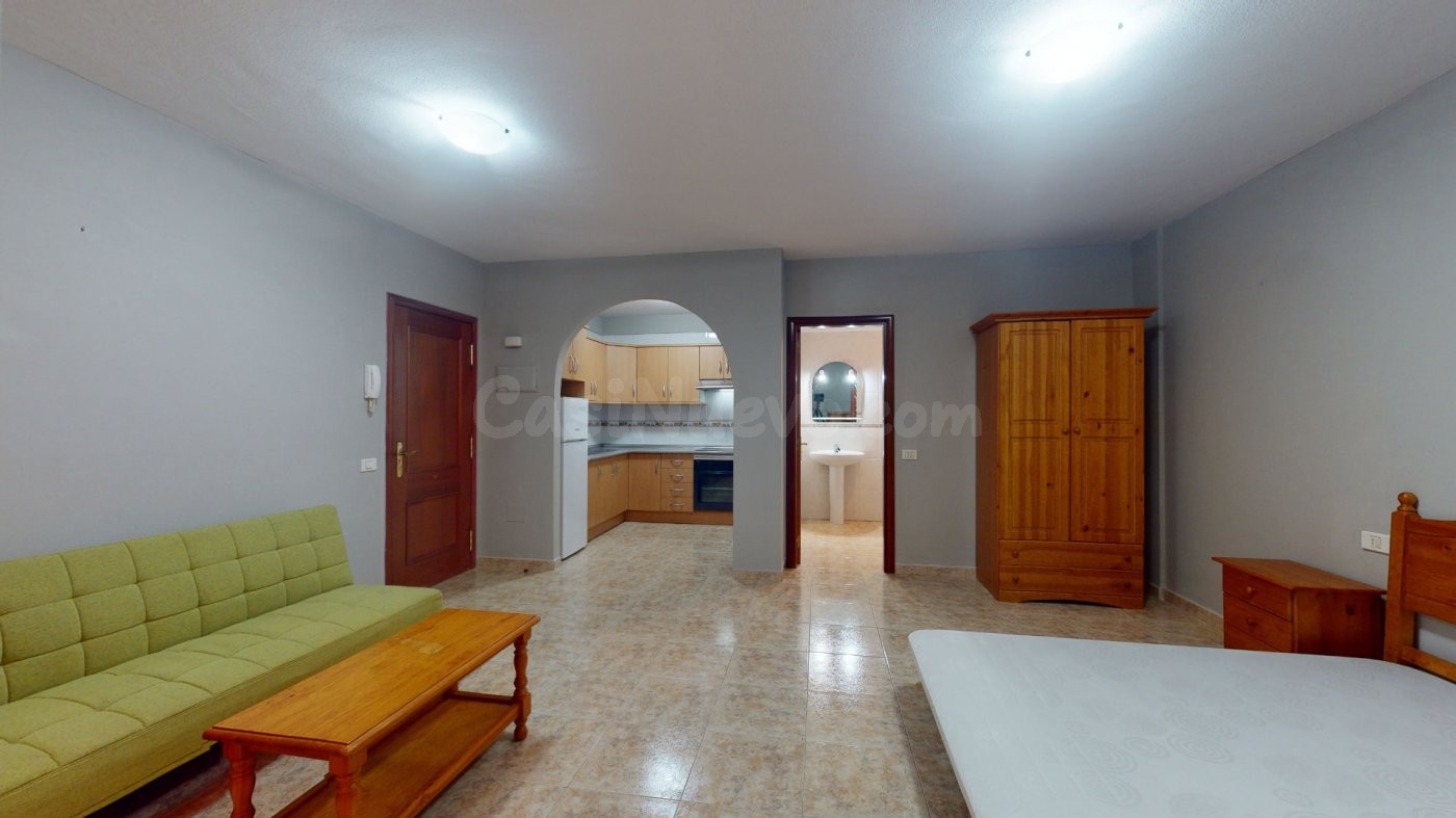 ESTUDIO EN SANTA URSULA