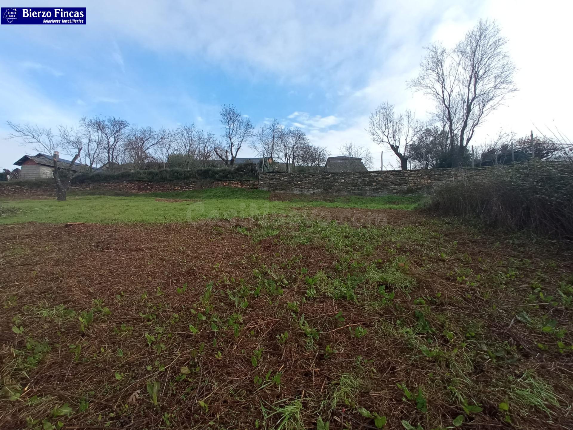 SE VENDE FINCA URBANA EN CALAMOCOS - foto 2