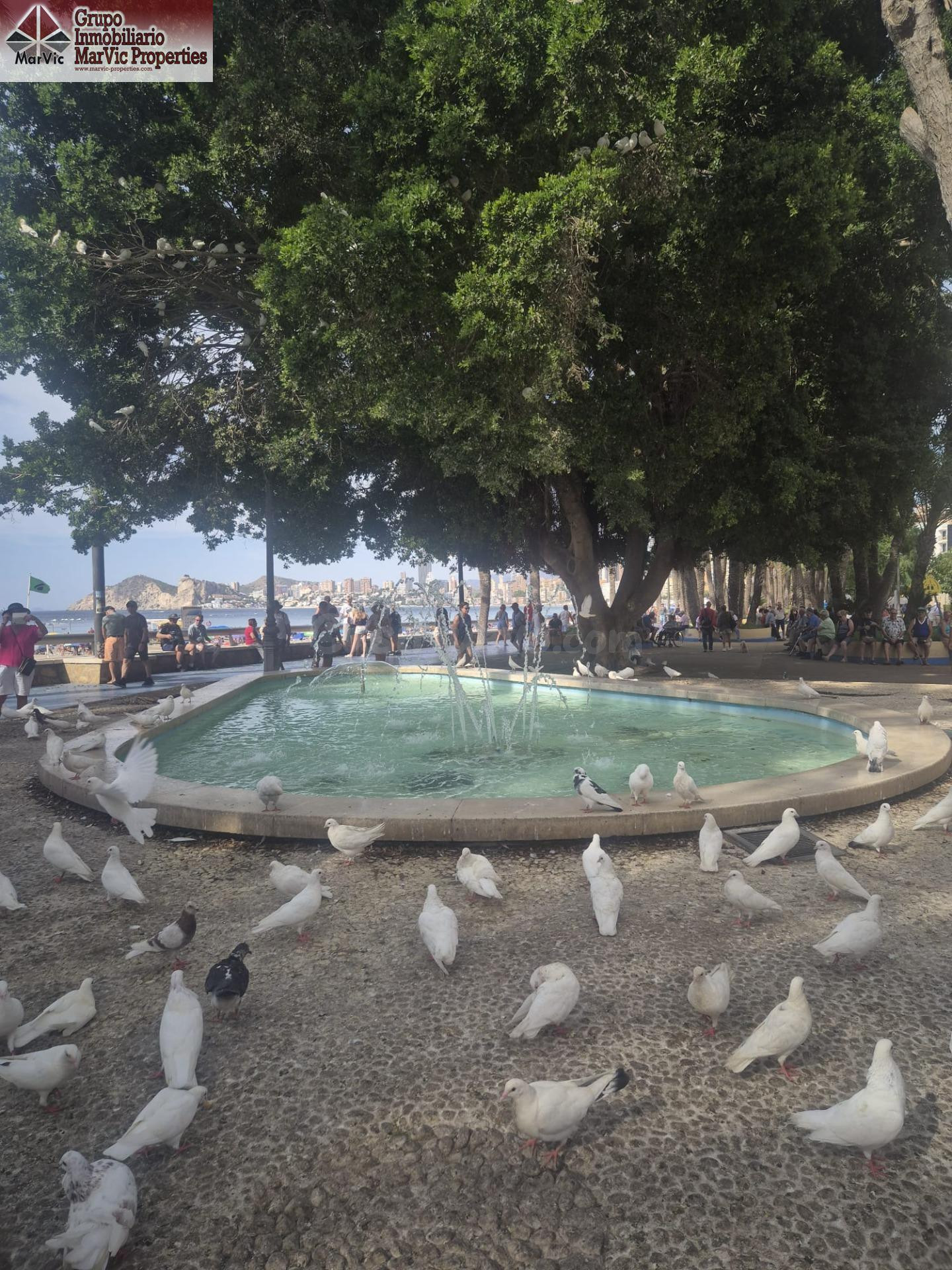 ¡OPORTUNIDAD EN PLAYA DE PONIENTE! - foto 3