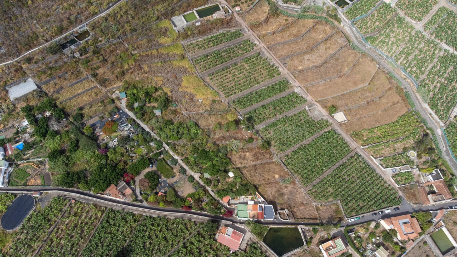 Terreno en venta en Los Silos (Centro) - foto 2