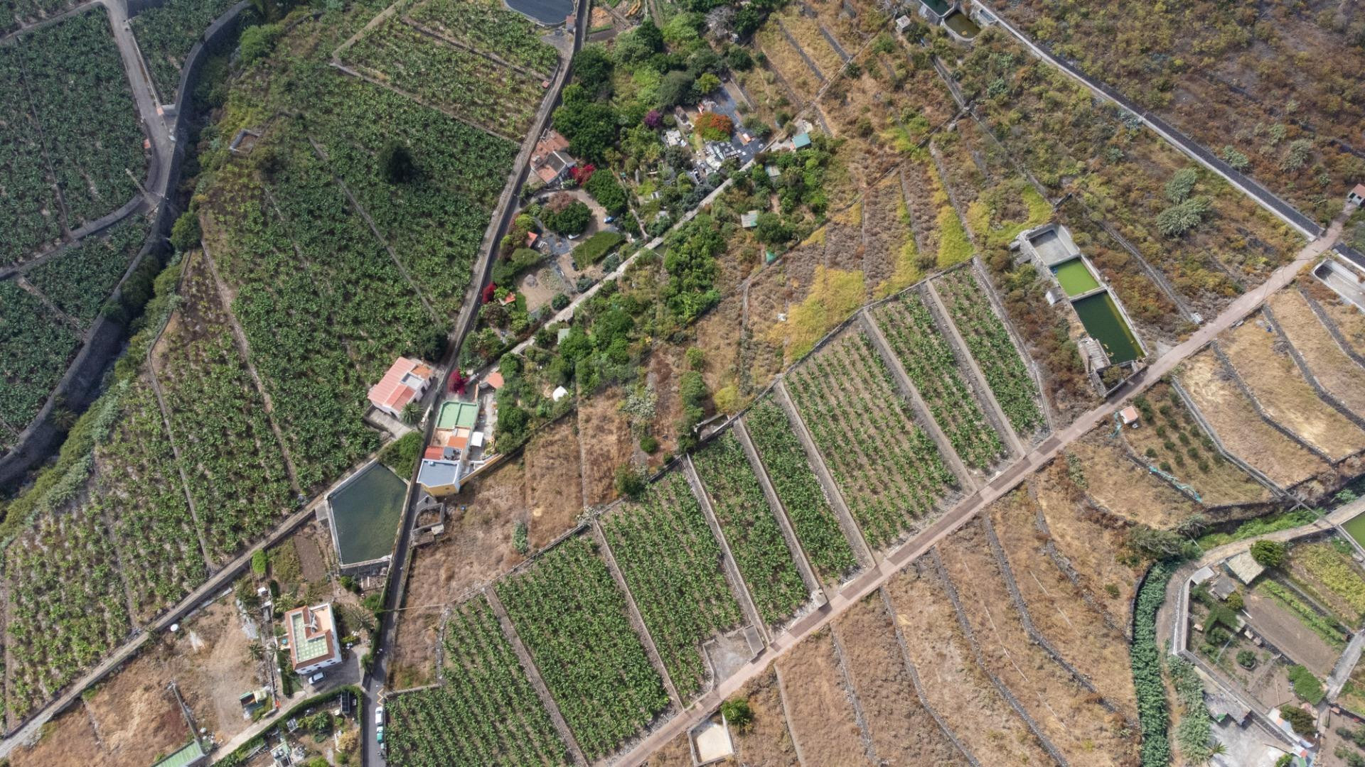 Terreno en venta en Los Silos (Centro) - foto 4