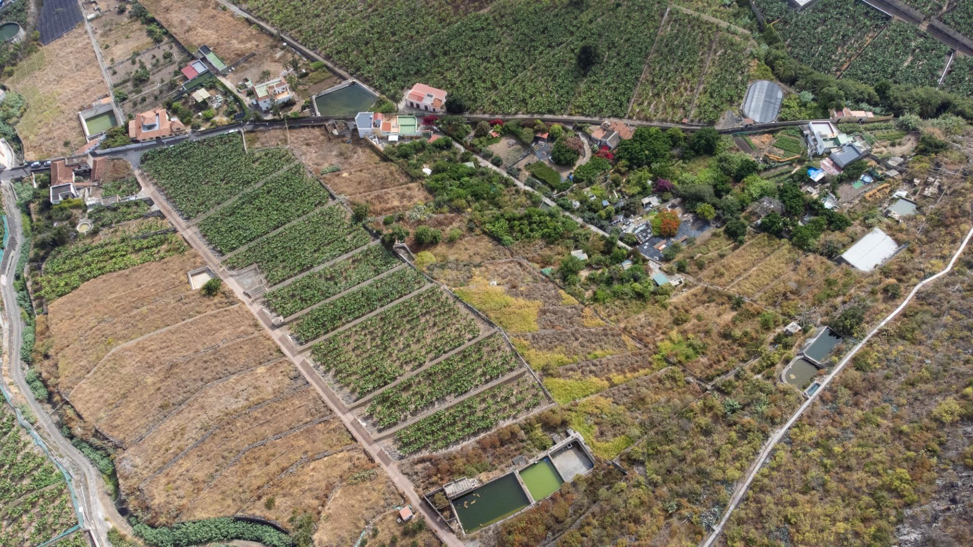 Terreno en venta en Los Silos (Centro) - foto 5