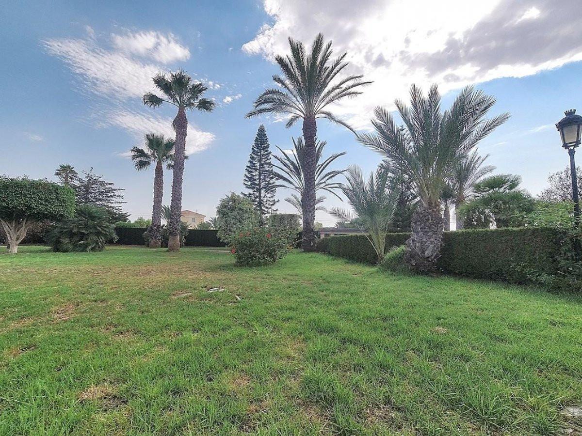 Chalet 6 habitaciones 500m² en venta - Elche pedanias - foto 3