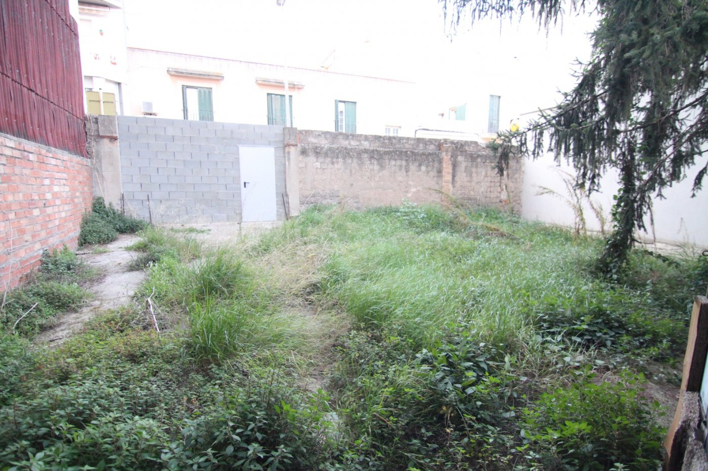 Terreno urbano de 196 m2 en el centro - foto 5