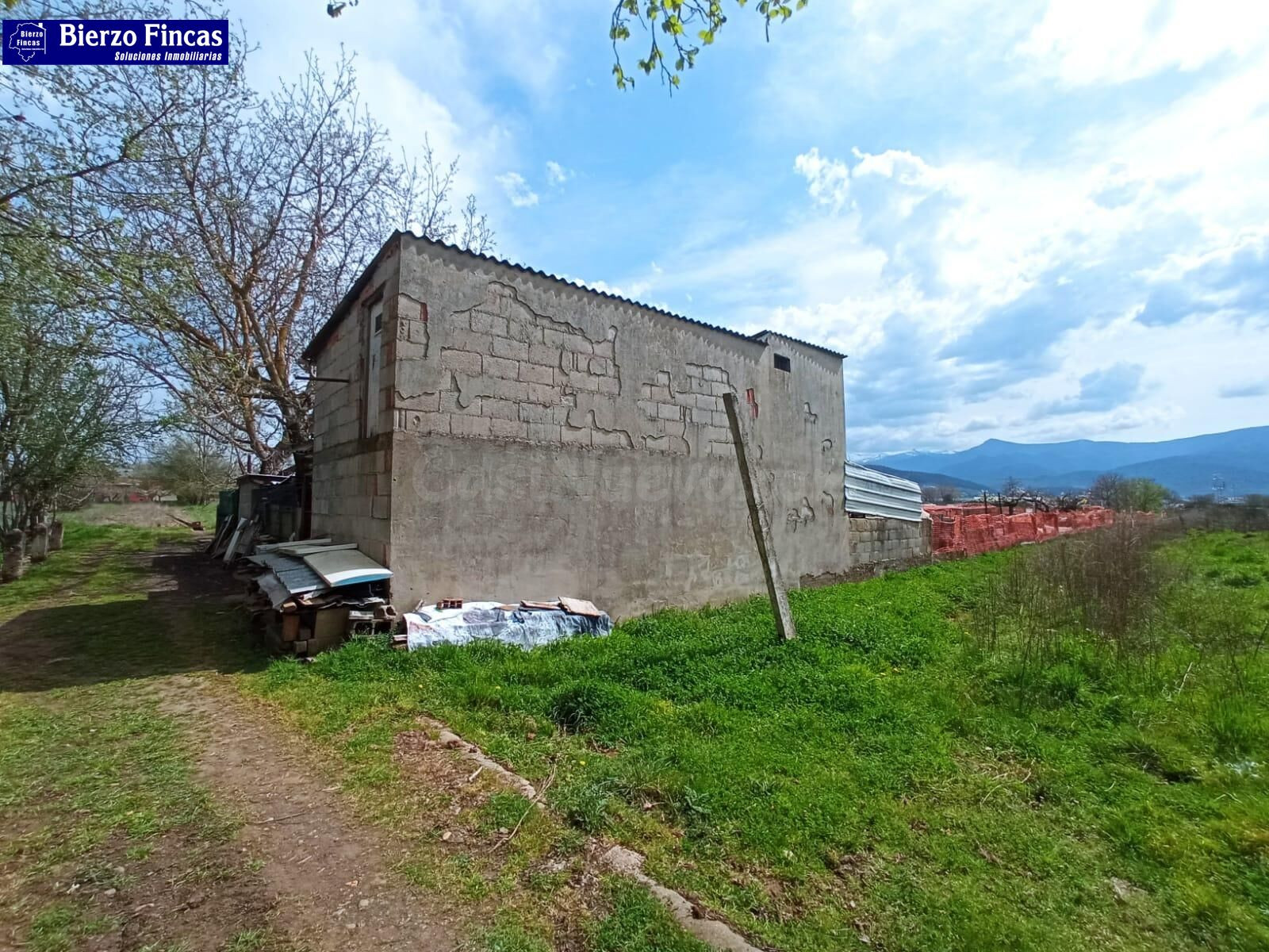 FINCA RUSTICA - foto 3