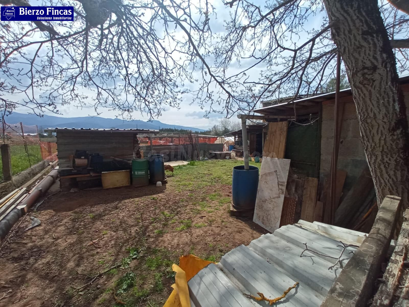 FINCA RUSTICA - foto 4