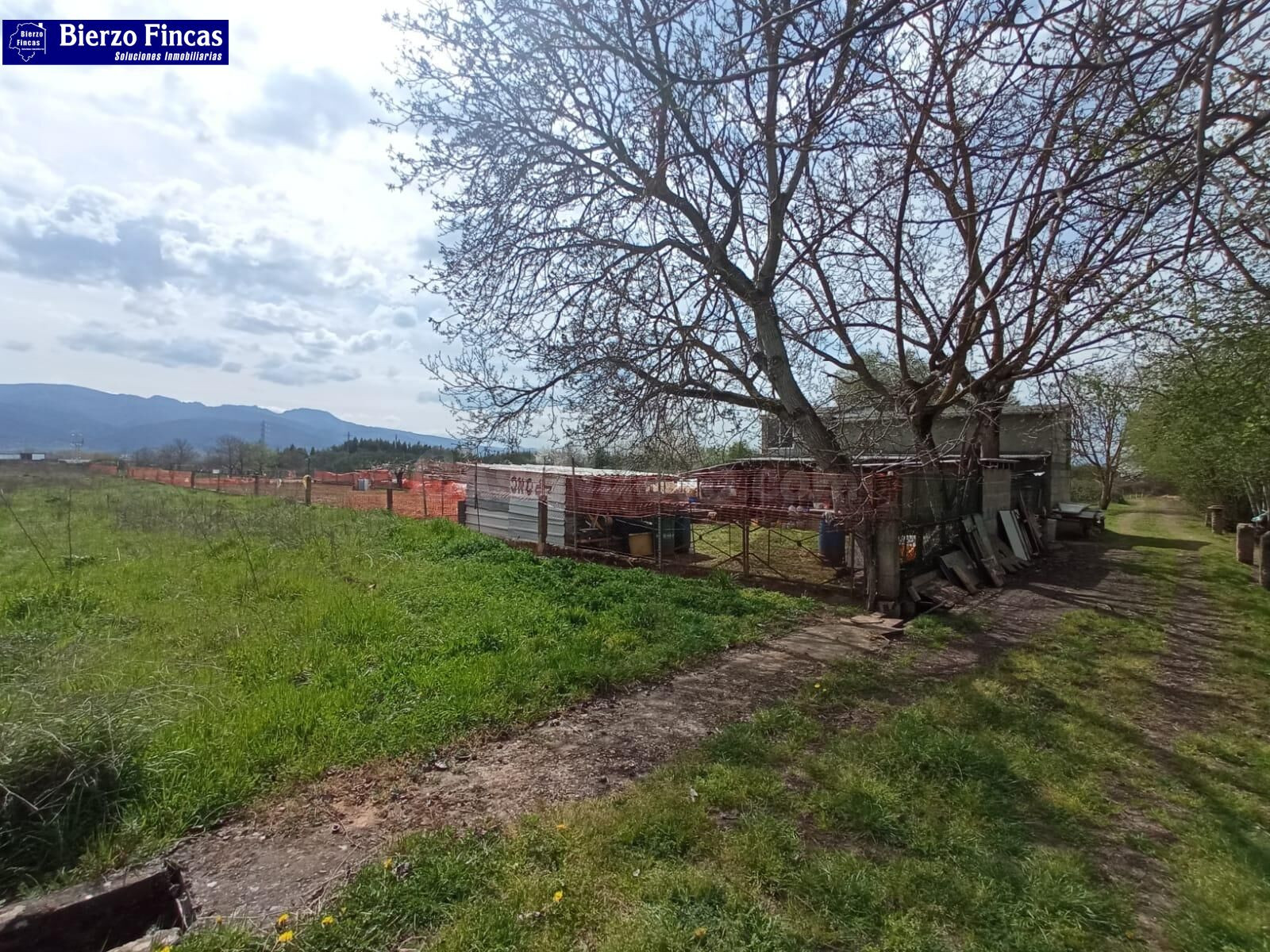 FINCA RUSTICA - foto 5