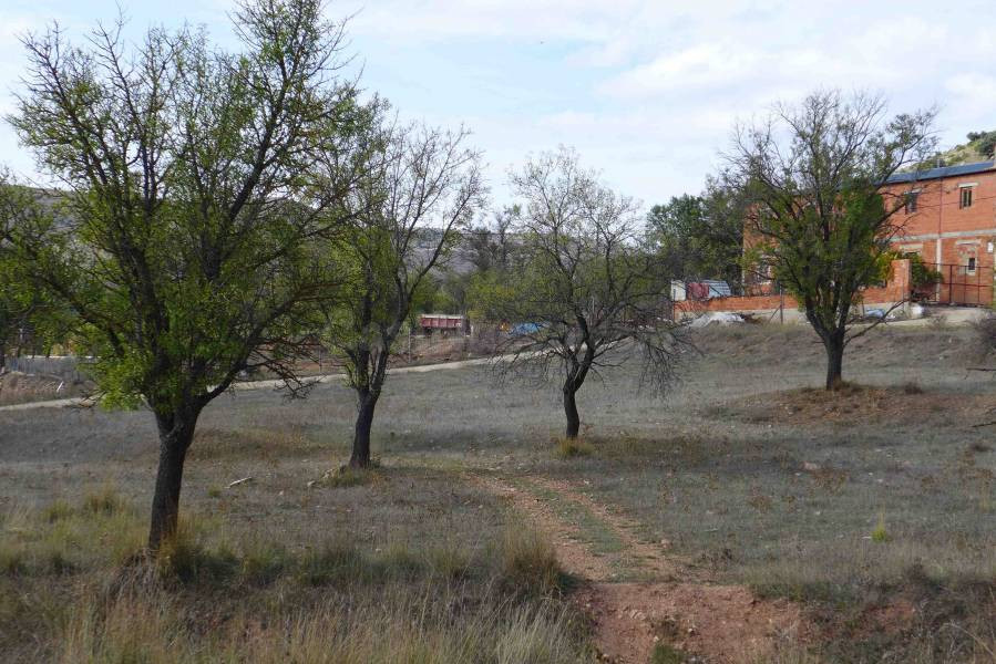 Parcela en venta - Las viñas - foto 2