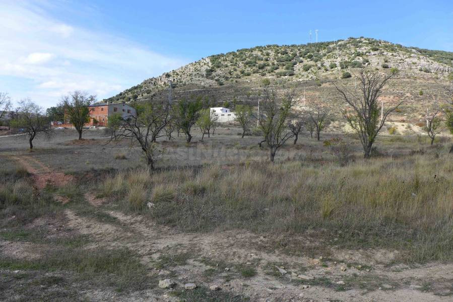 Parcela en venta - Las viñas - foto 3