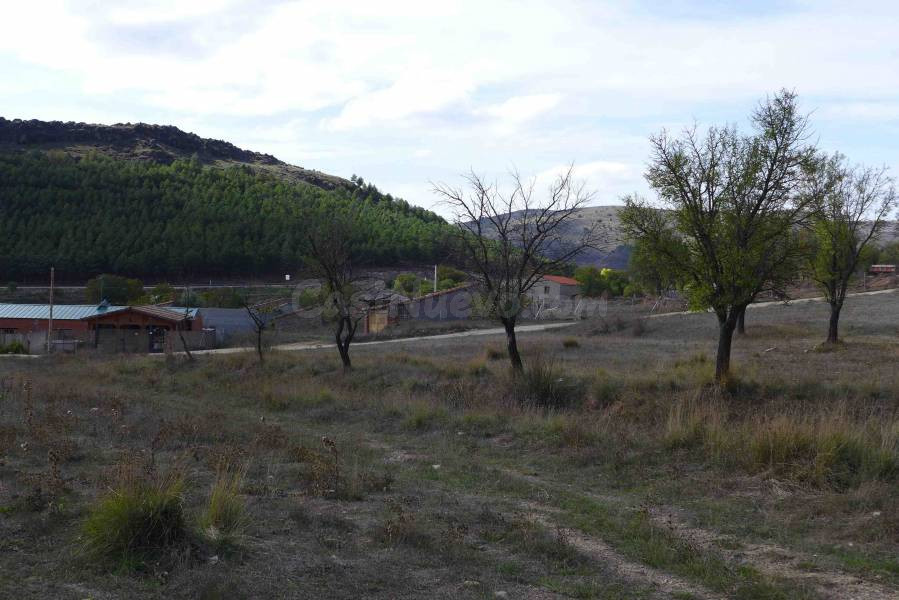 Parcela en venta - Las viñas - foto 4