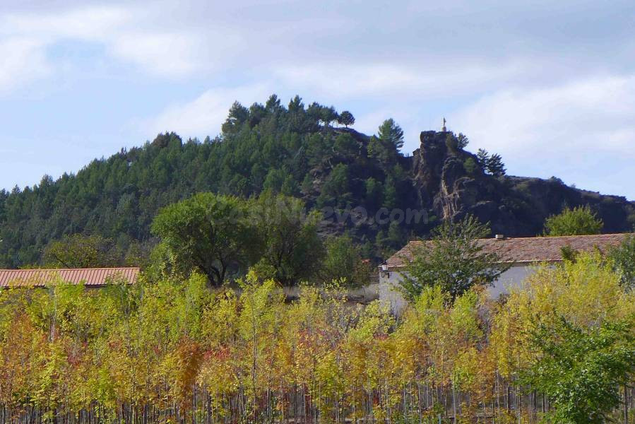 Parcela en venta - Las viñas - foto 5