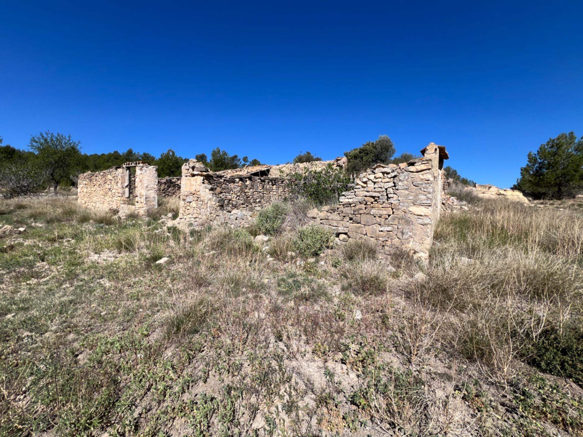 FINCA RÚSTICA CON  23.000 M2 CON CULTIVO DE OLIVOS Y ALMENDR