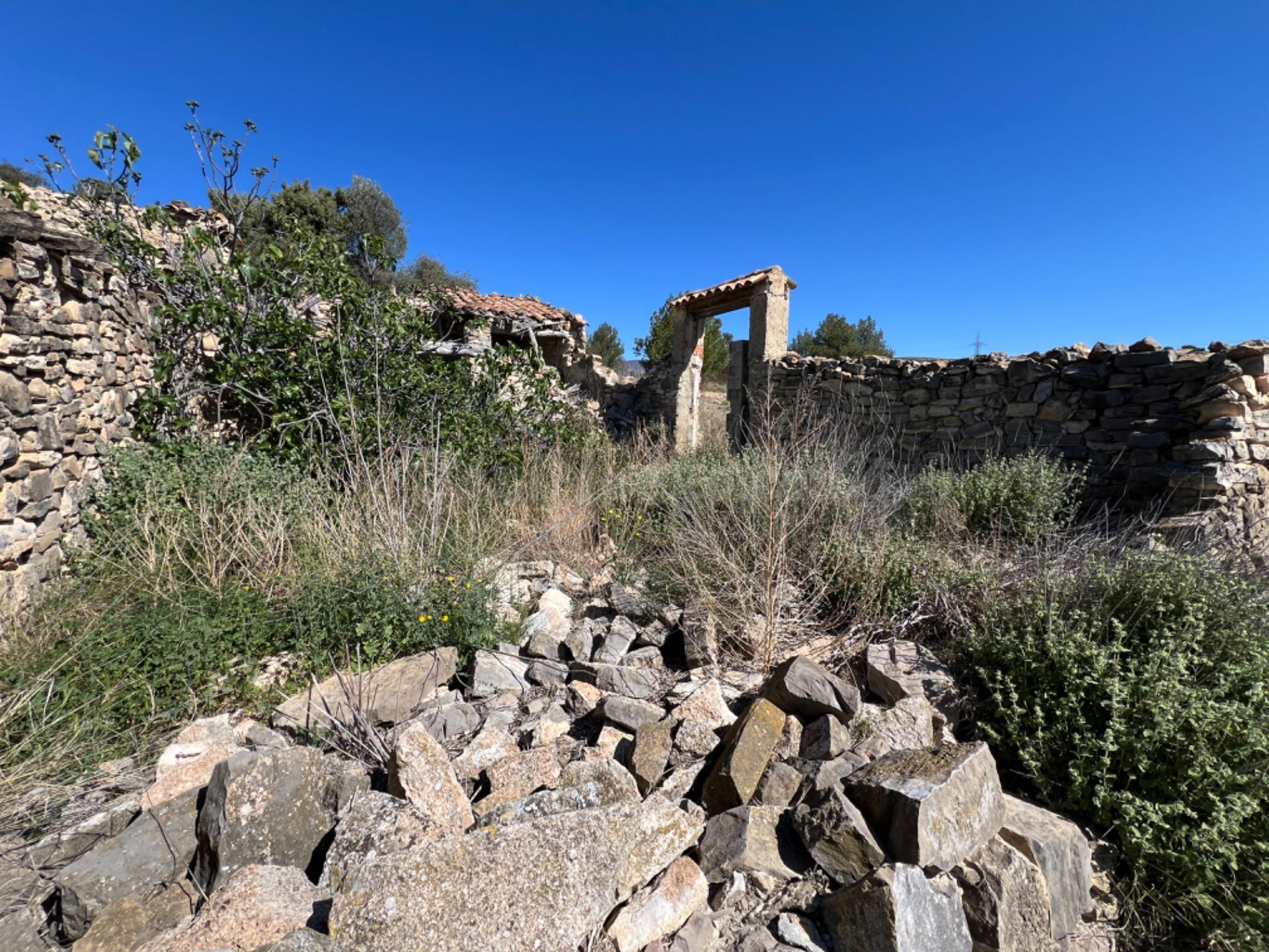 FINCA RÚSTICA CON  23.000 M2 CON CULTIVO DE OLIVOS Y ALMENDR - foto 2
