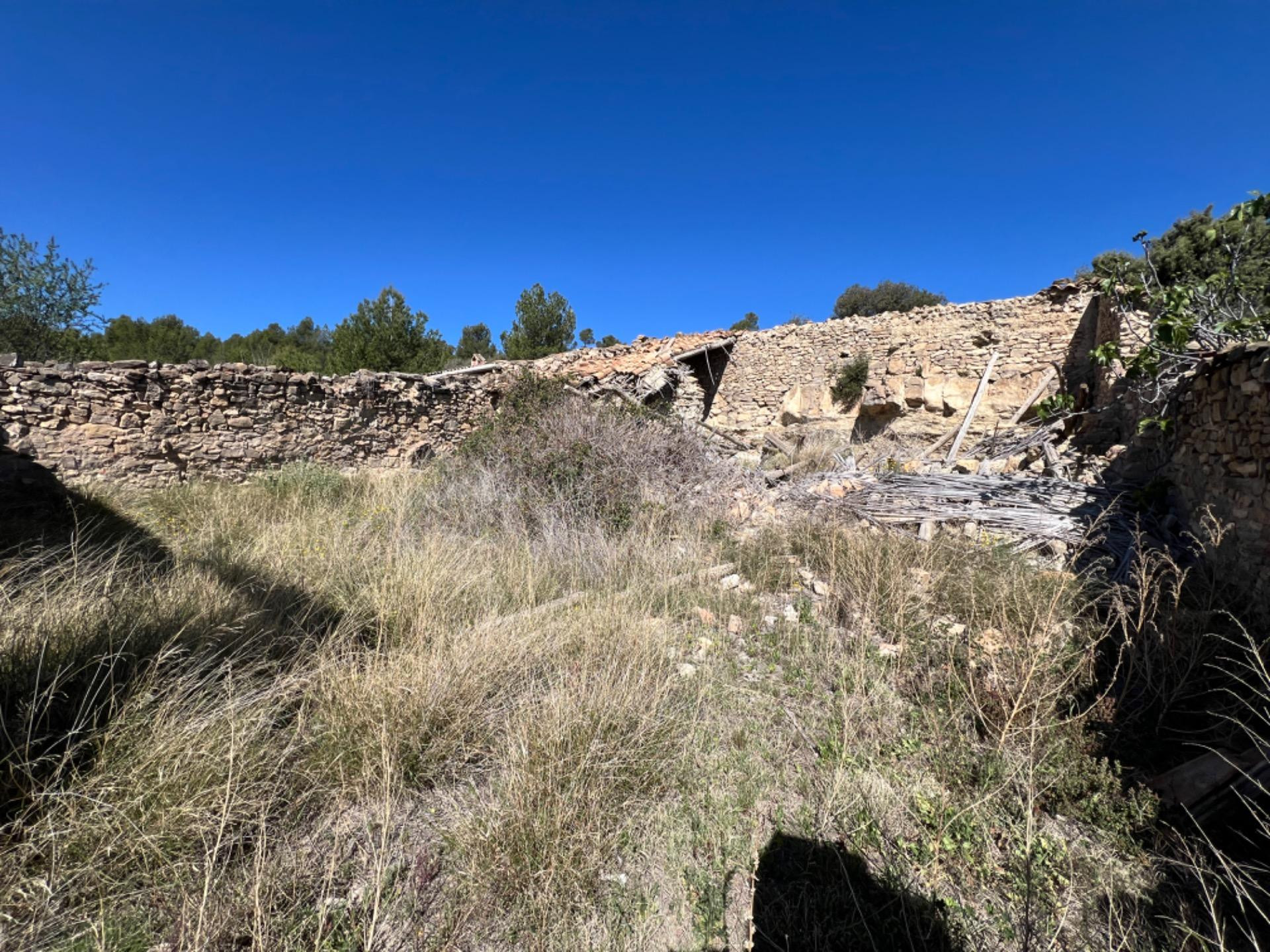 FINCA RÚSTICA CON  23.000 M2 CON CULTIVO DE OLIVOS Y ALMENDR - foto 3