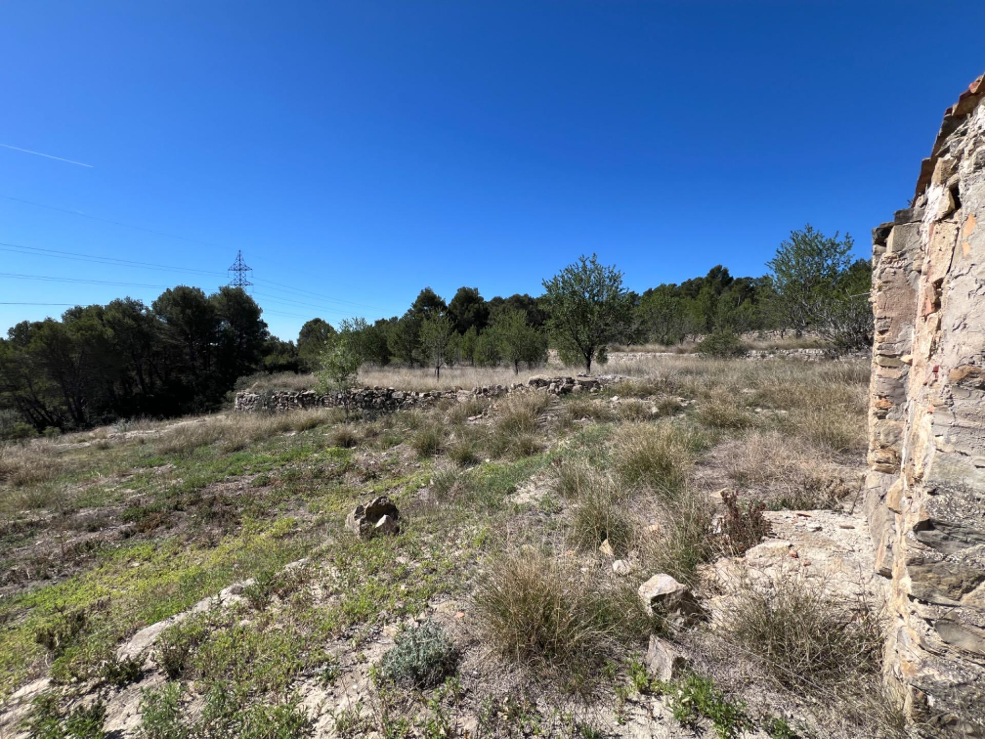 FINCA RÚSTICA CON  23.000 M2 CON CULTIVO DE OLIVOS Y ALMENDR - foto 4