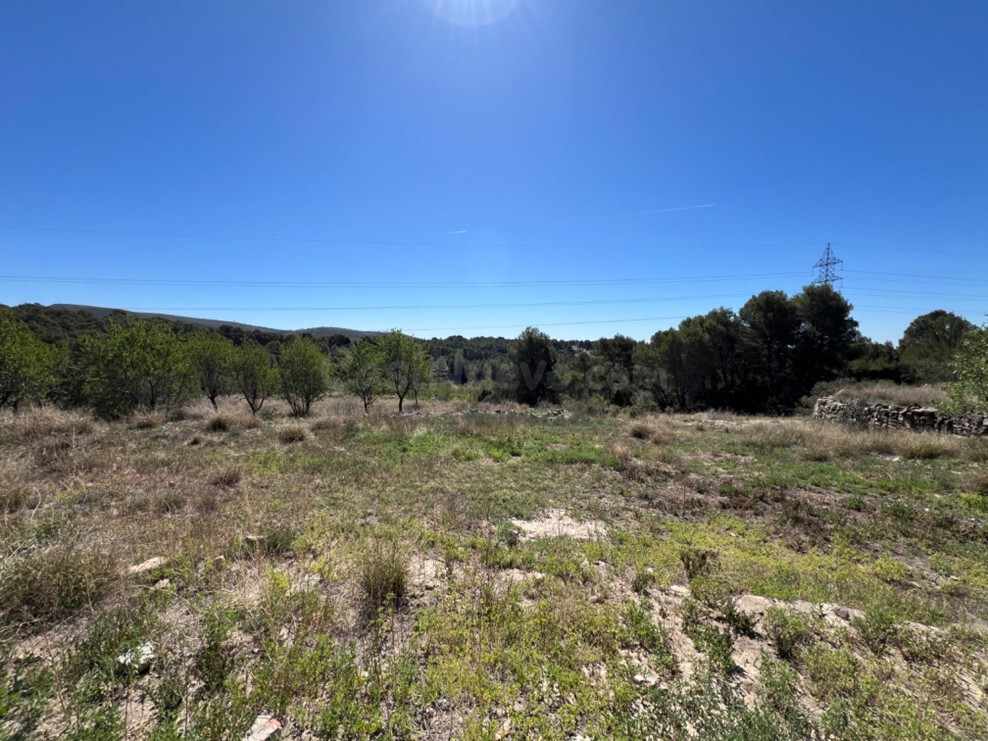 FINCA RÚSTICA CON  23.000 M2 CON CULTIVO DE OLIVOS Y ALMENDR - foto 5