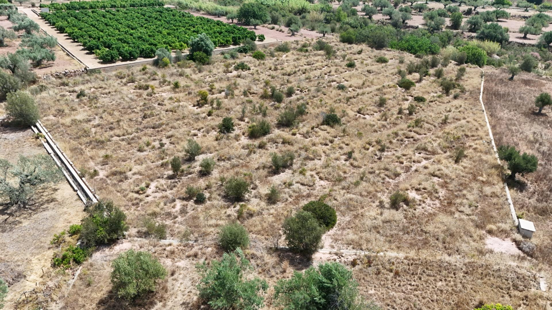 Se vende finca rústica en Olocau – 6.467 m2 para cultivo, co