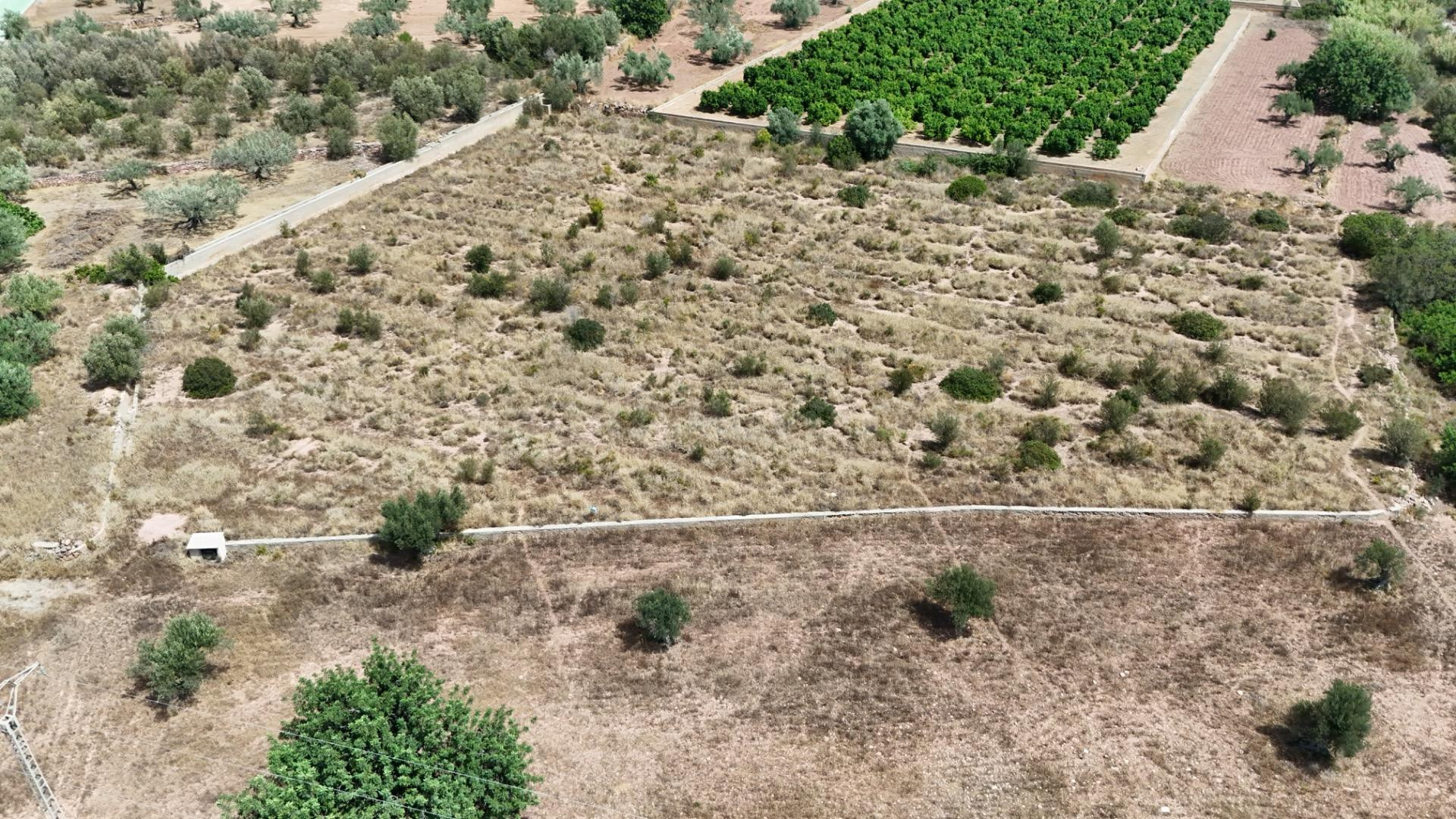 Se vende finca rústica en Olocau – 6.467 m2 para cultivo, co - foto 2
