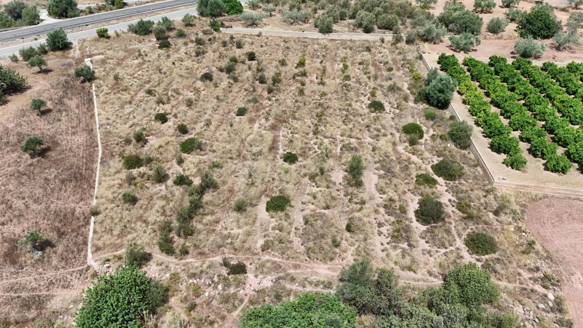 Se vende finca rústica en Olocau – 6.467 m2 para cultivo, co - foto 3