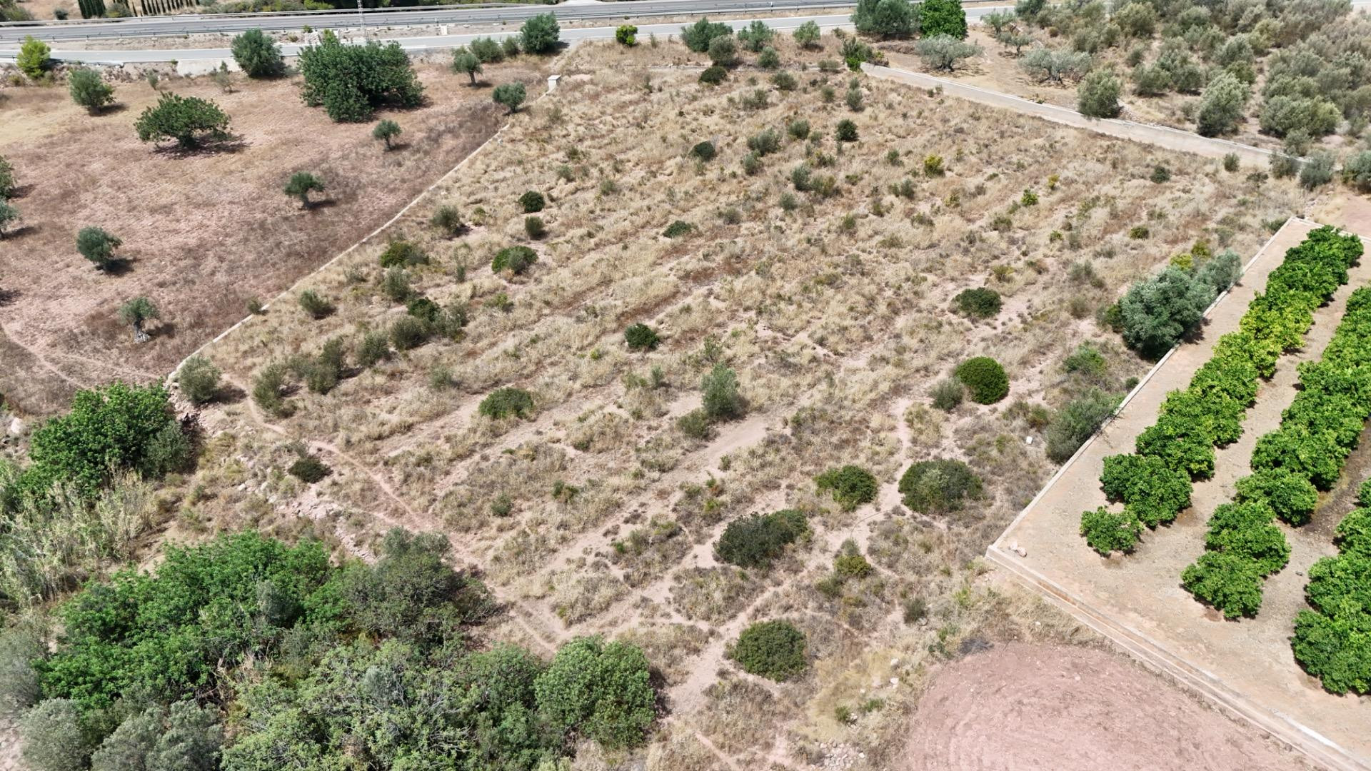 Se vende finca rústica en Olocau – 6.467 m2 para cultivo, co - foto 4