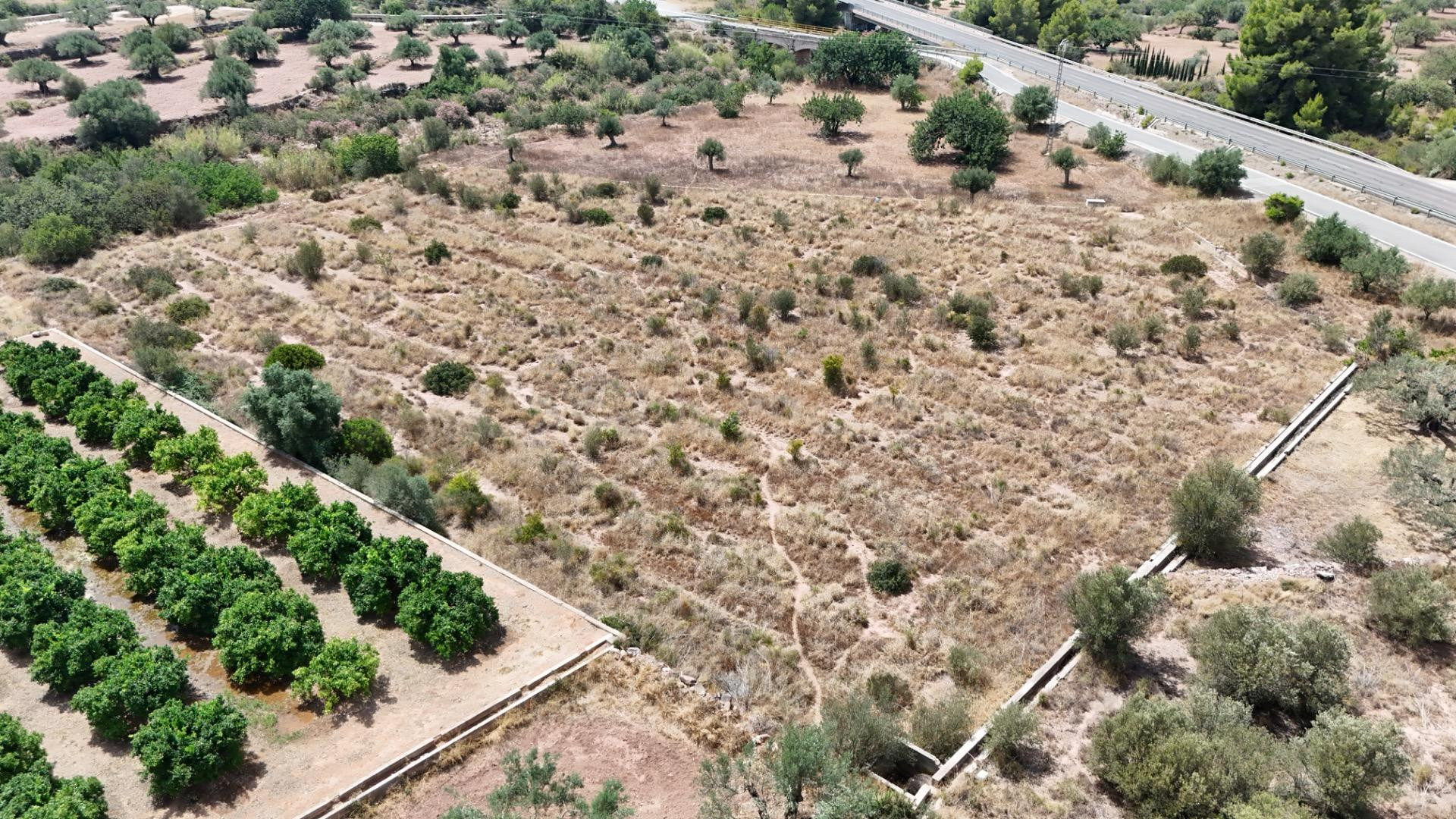 Se vende finca rústica en Olocau – 6.467 m2 para cultivo, co - foto 5