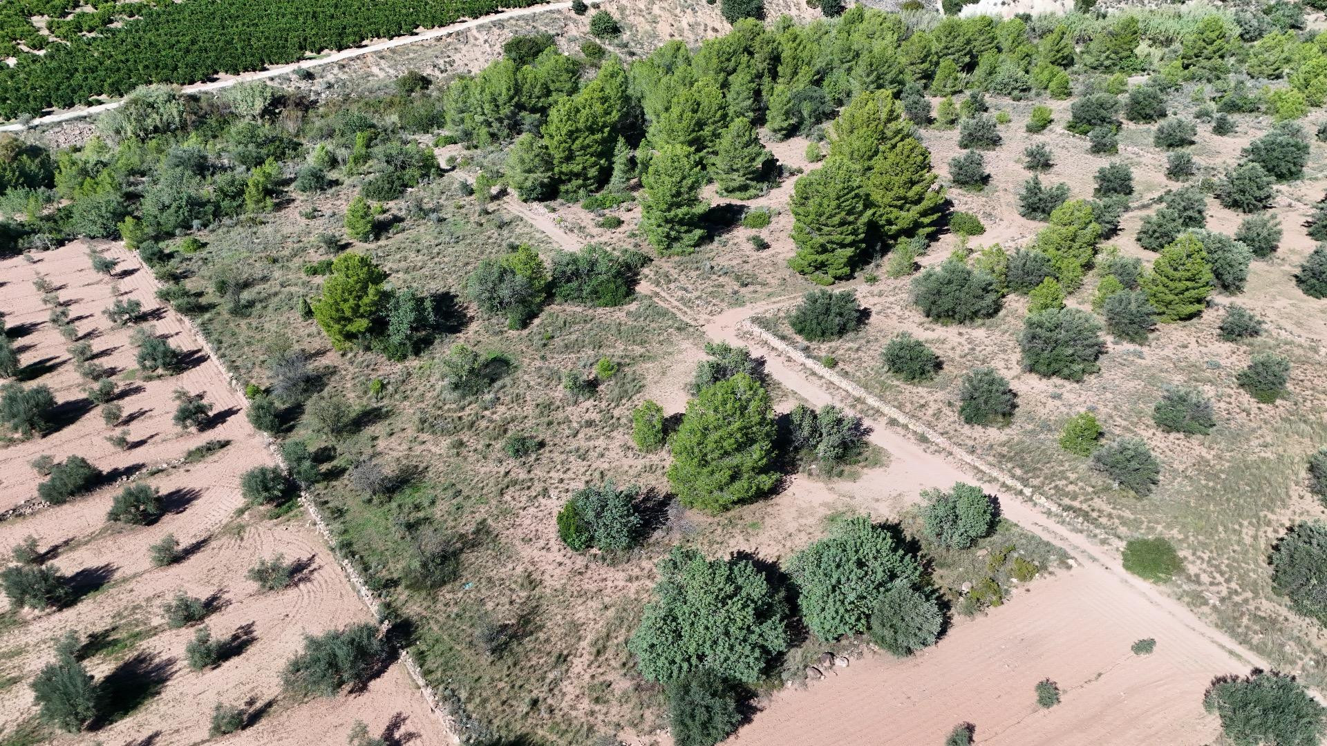 CONJUNTO DE 2 PARCELAS RÚSTICAS EN OLOCAU CON DERECHO A AGUA - foto 3