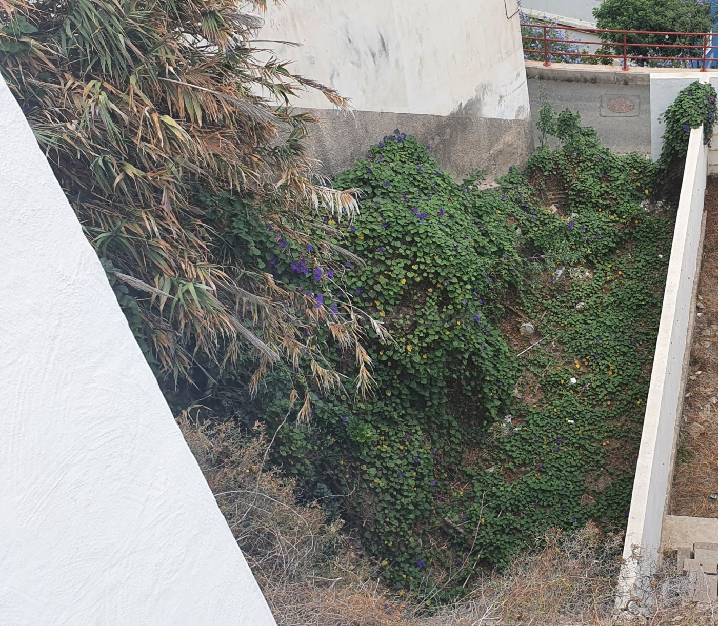 SE VENDE TERRENO URBANIZABLE RESIDENCIAL EN LAS PLAMAS DE GR - foto 4