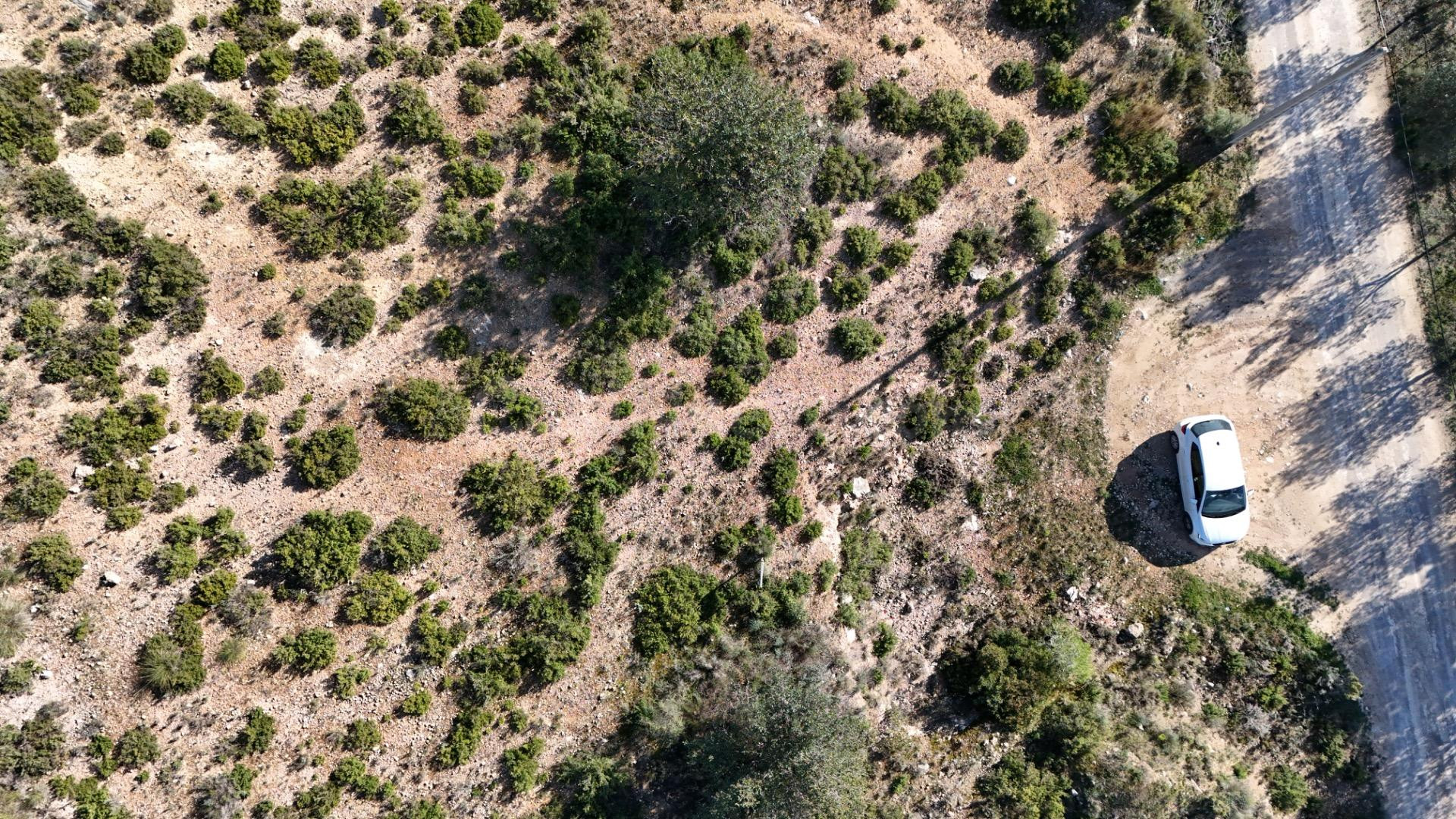 Parcela cerca de San Vicente de 902 m2 - foto 2