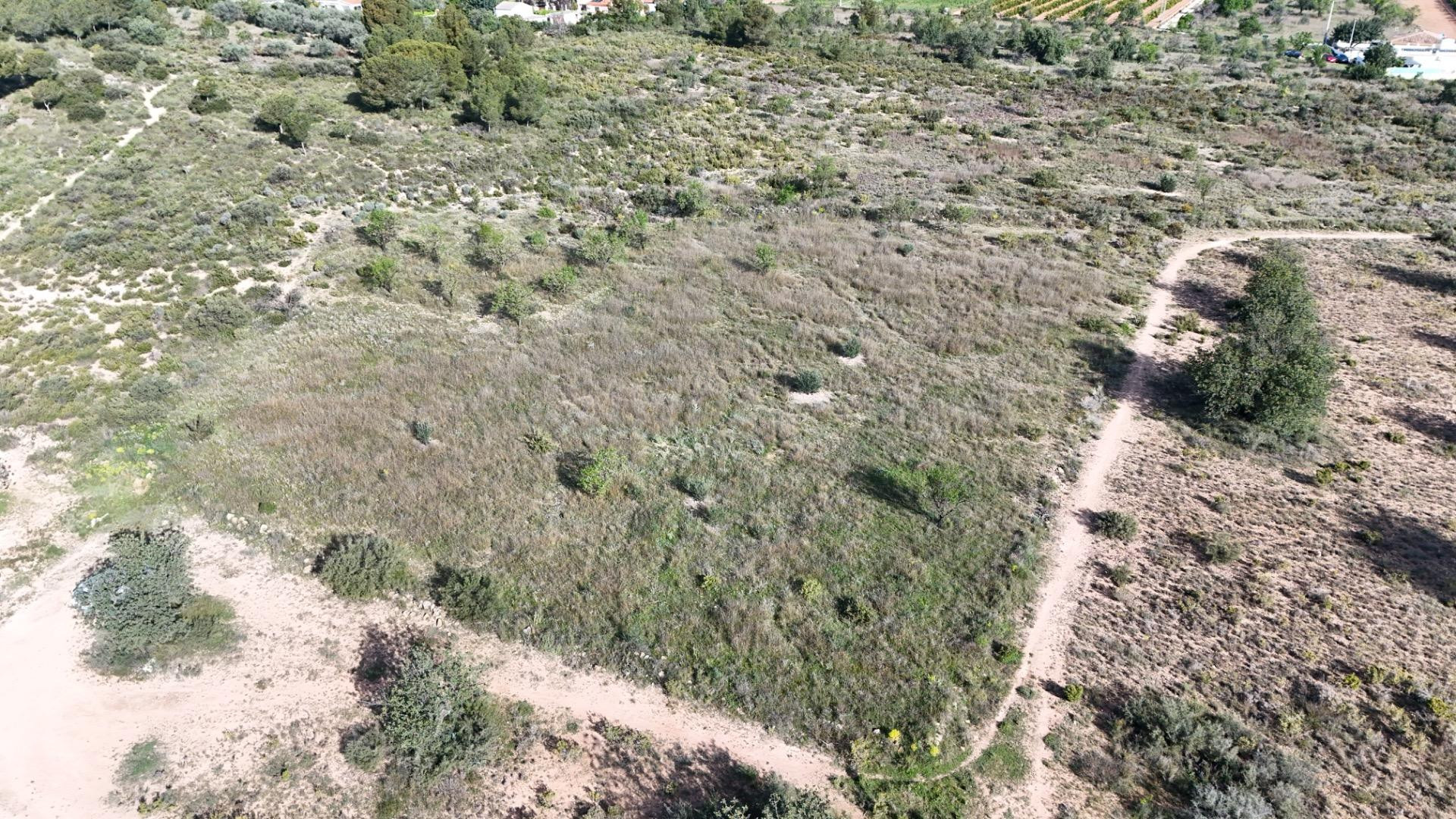 Se vende parcela rústica de 3.600 m2 en Camp de Llíria