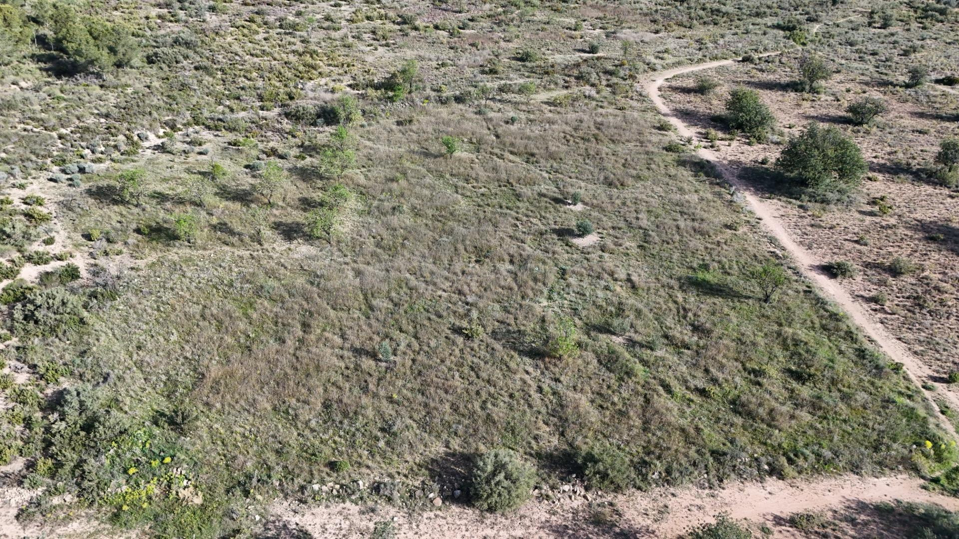 Se vende parcela rústica de 3.600 m2 en Camp de Llíria - foto 2
