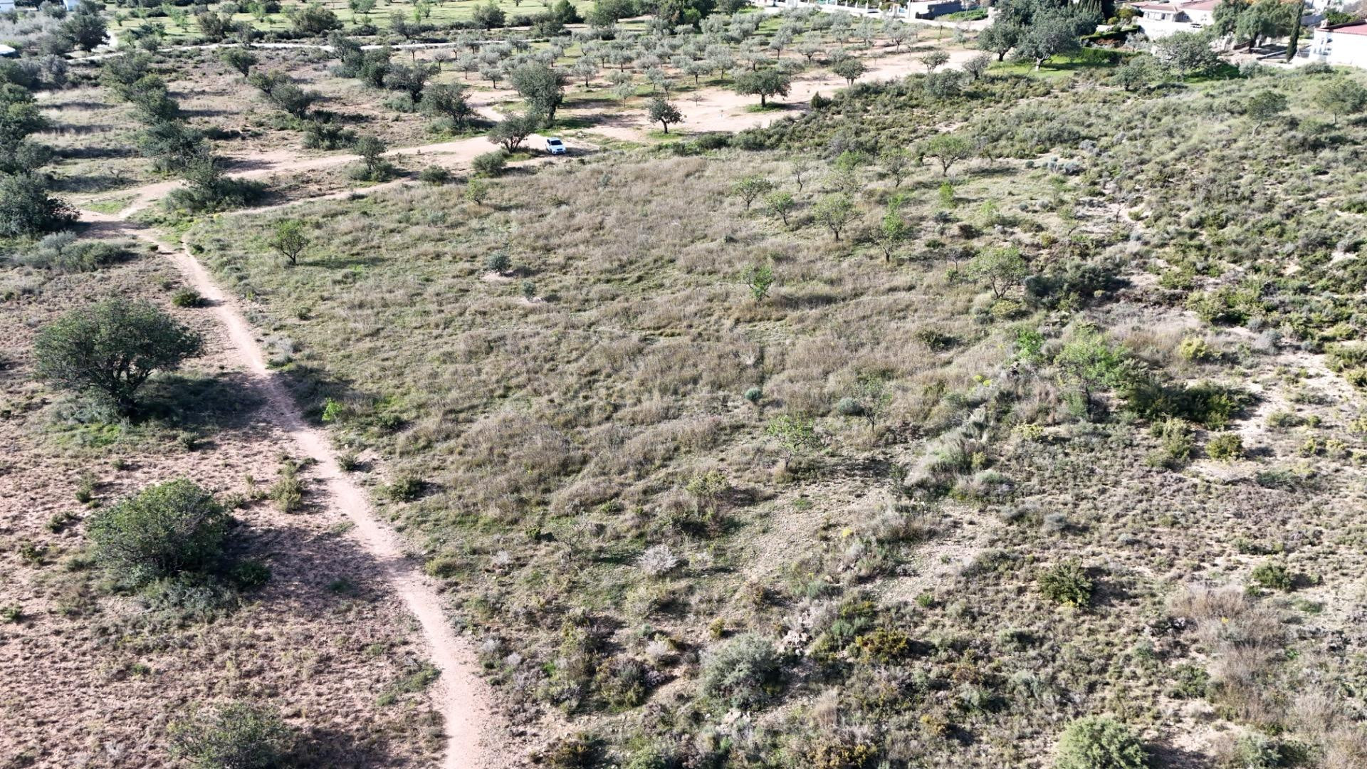 Se vende parcela rústica de 3.600 m2 en Camp de Llíria - foto 3