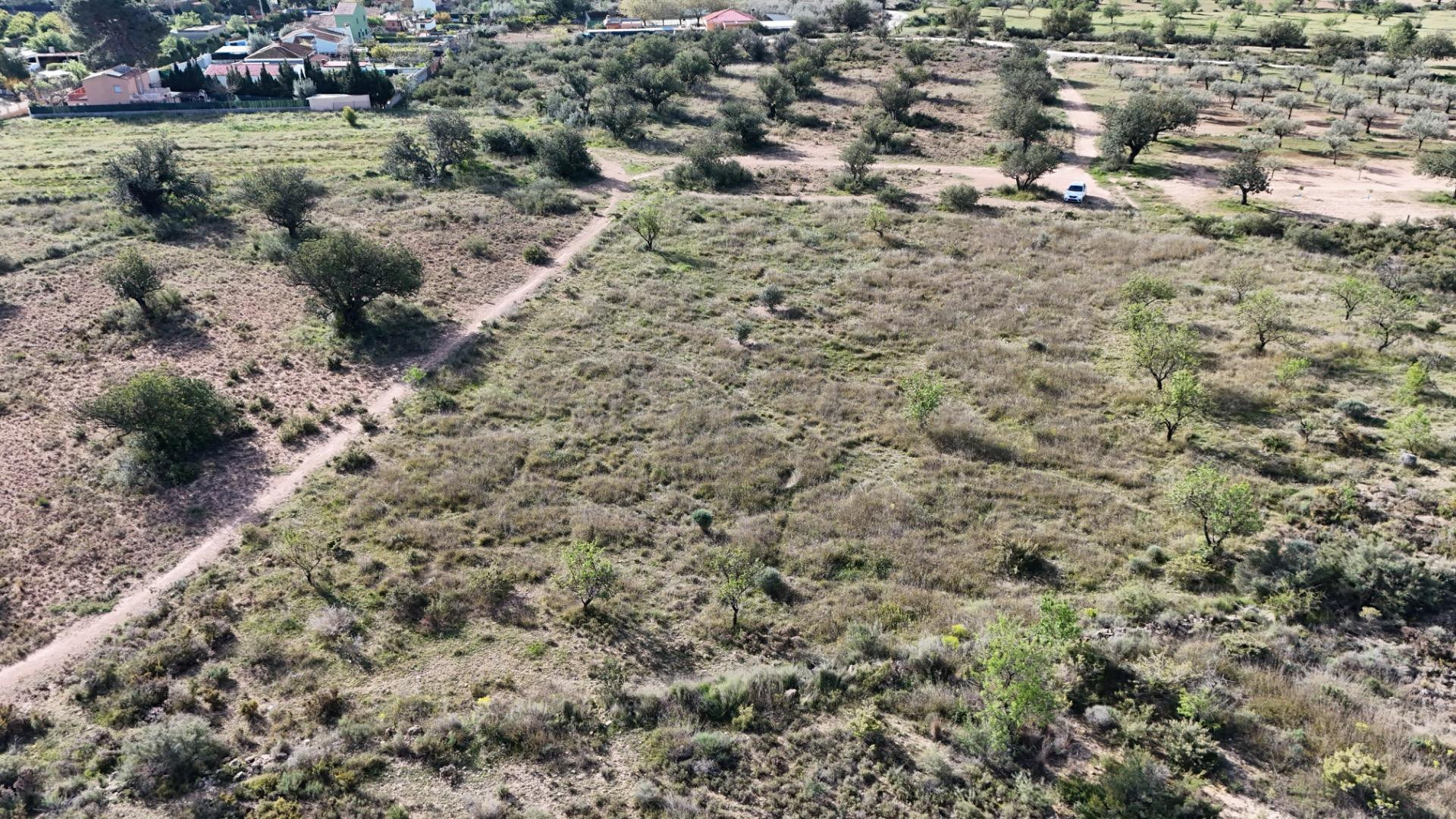 Se vende parcela rústica de 3.600 m2 en Camp de Llíria - foto 4