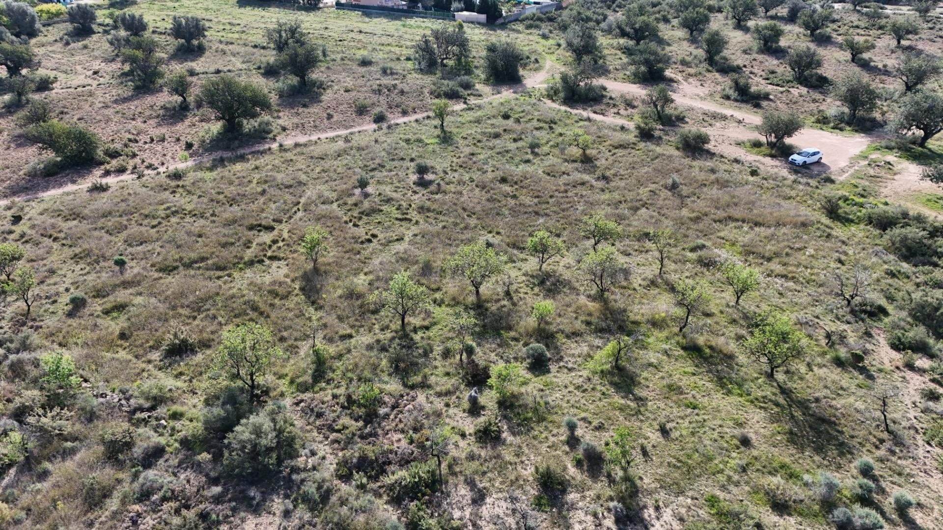Se vende parcela rústica de 3.600 m2 en Camp de Llíria - foto 5