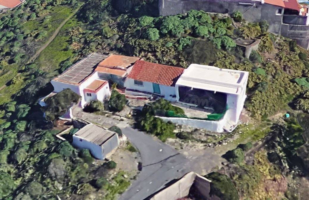 Finca rústica en producción, con agua y vivienda a reformar. - foto 3