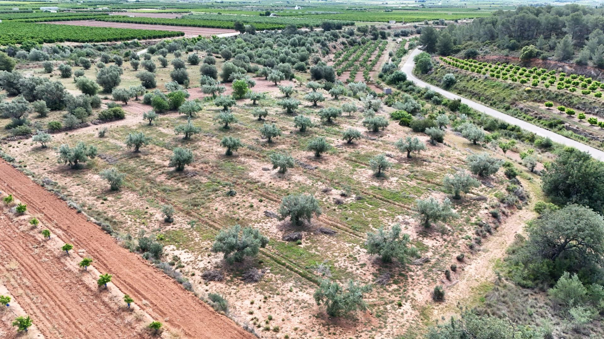 TERRENO RUSTICO