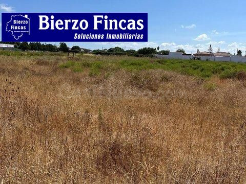 SE VENDE CONJUNTO DE FINCAS RÚSTICAS EN ALMÁZCARA