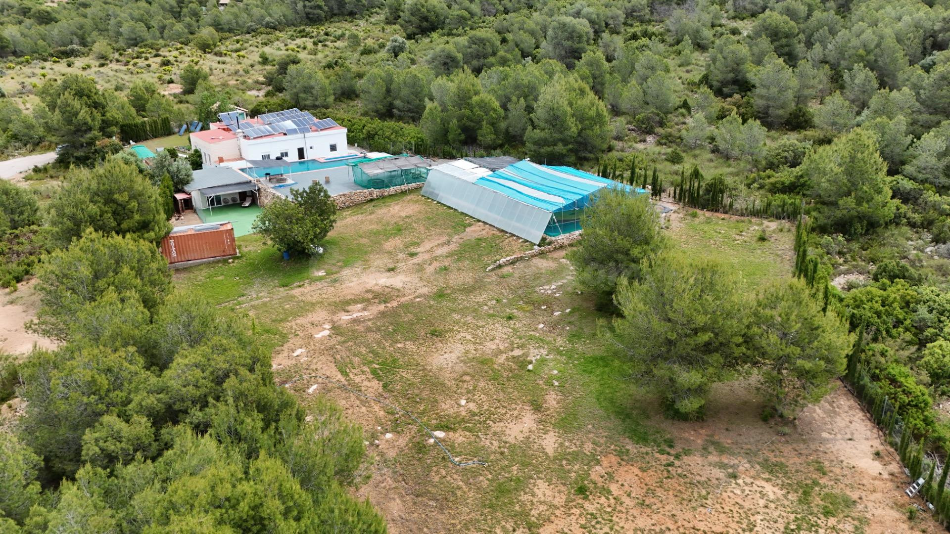 NEGOCIO Y VIVIENDA EN VILLAR DEL ARZOBISPO - foto 5
