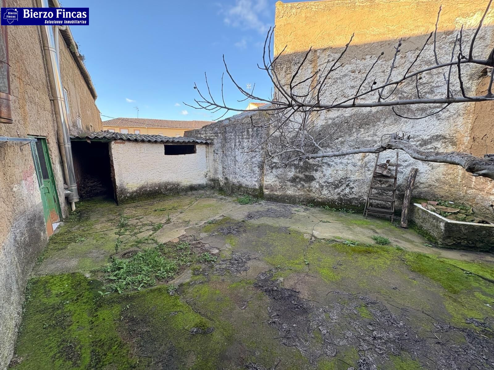 GRAN OPORTUNIDAD EN RELIEGOS – VIVIENDA CON NAVE Y AMPLIO PA - foto 2