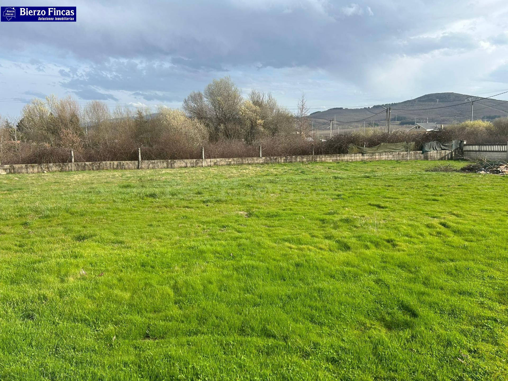 ️ ️SE VENDE GRAN PARCELA CON CASA Y NAVE EN BARCENA️ ️