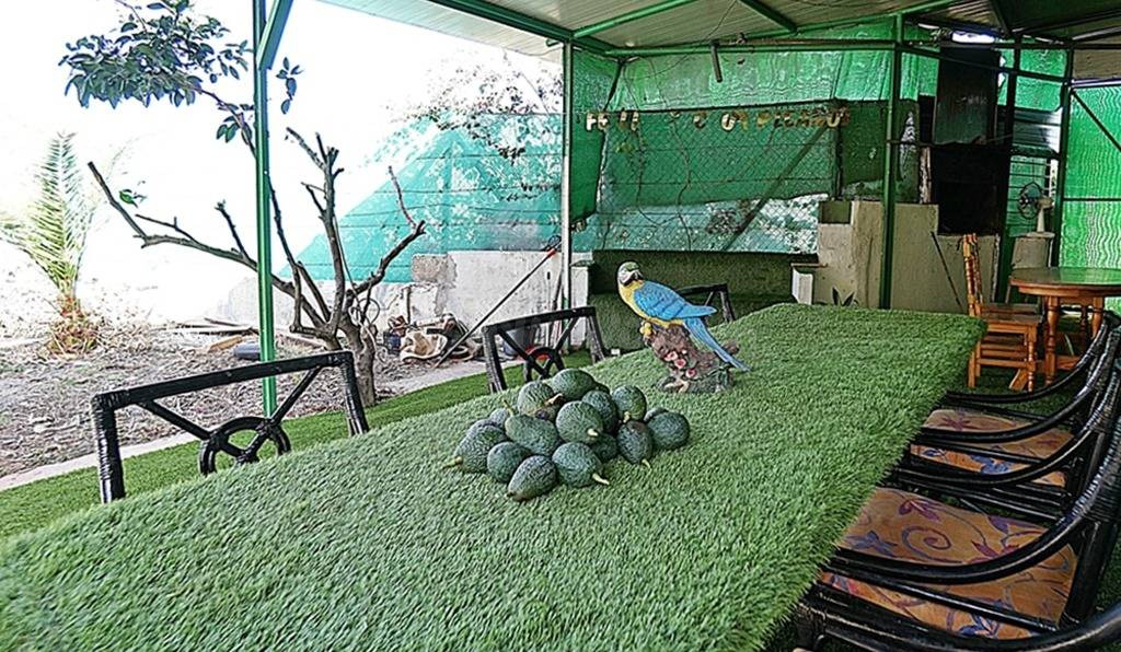 Casa de campo con terreno y frutales - foto 4