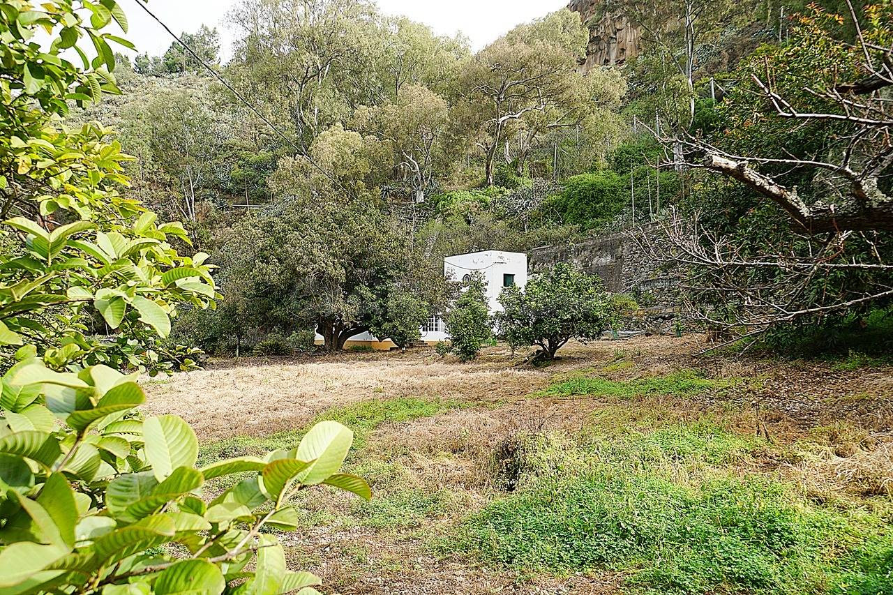 Encantadora Casa Rústica en Teror, Zona del Hornillo, con Am
