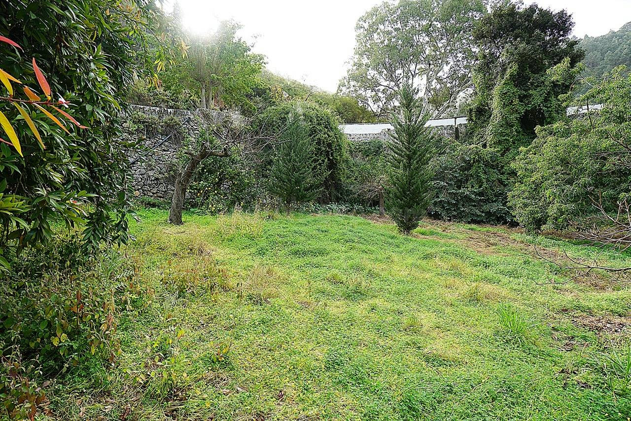 Encantadora Casa Rústica en Teror, Zona del Hornillo, con Am - foto 4