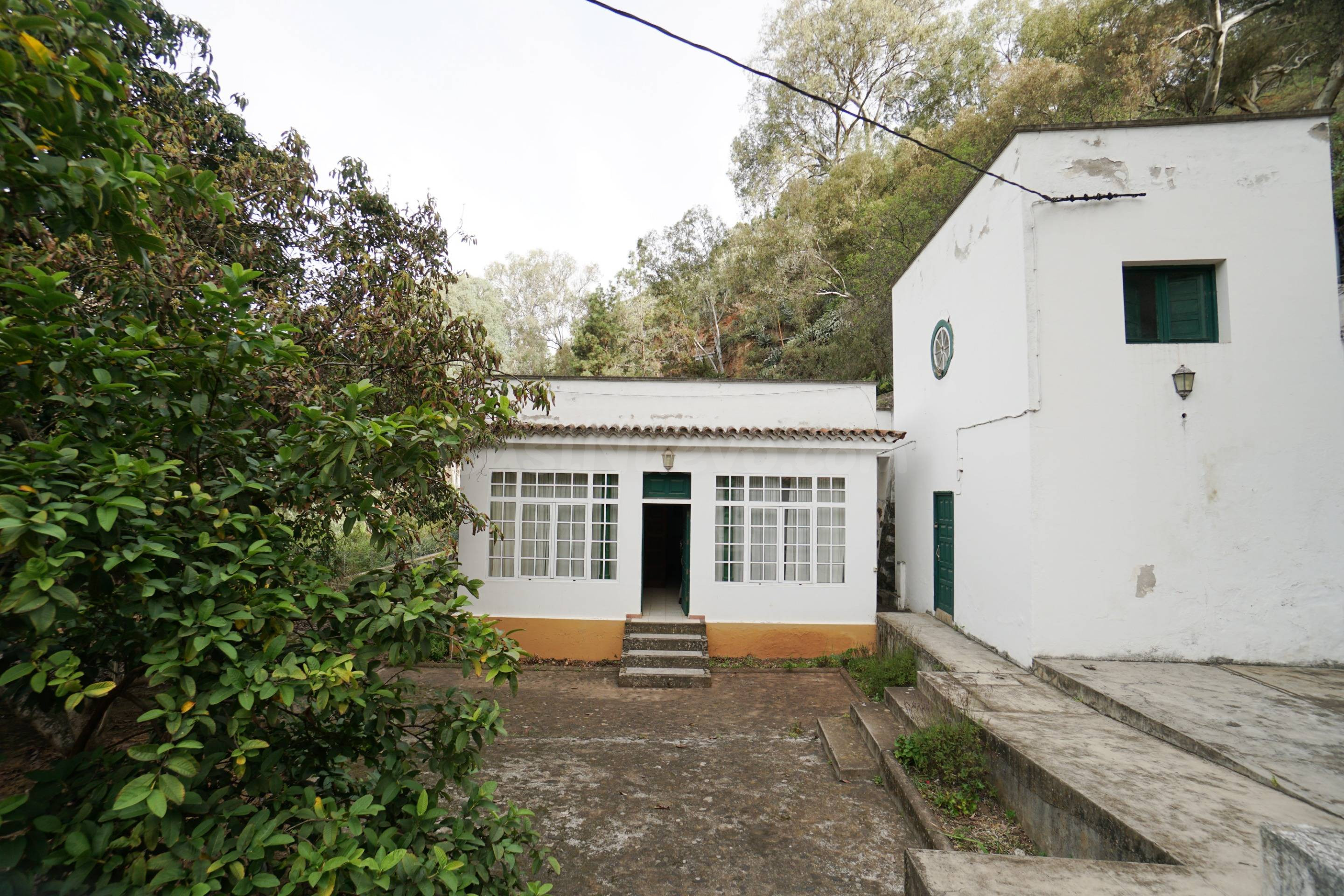 Encantadora Casa Rústica en Teror, Zona del Hornillo, con Am - foto 5