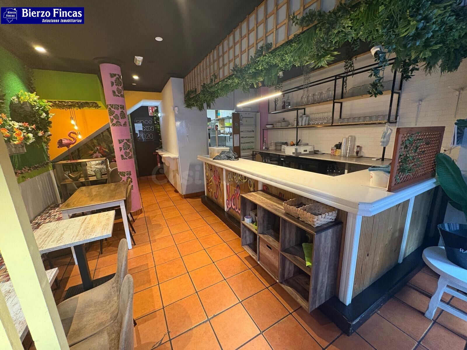 ✨ EXCLUSIVO BAR–RESTAURANTE EN EL CORAZÓN HISTÓRICO, JUNTO A - foto 3