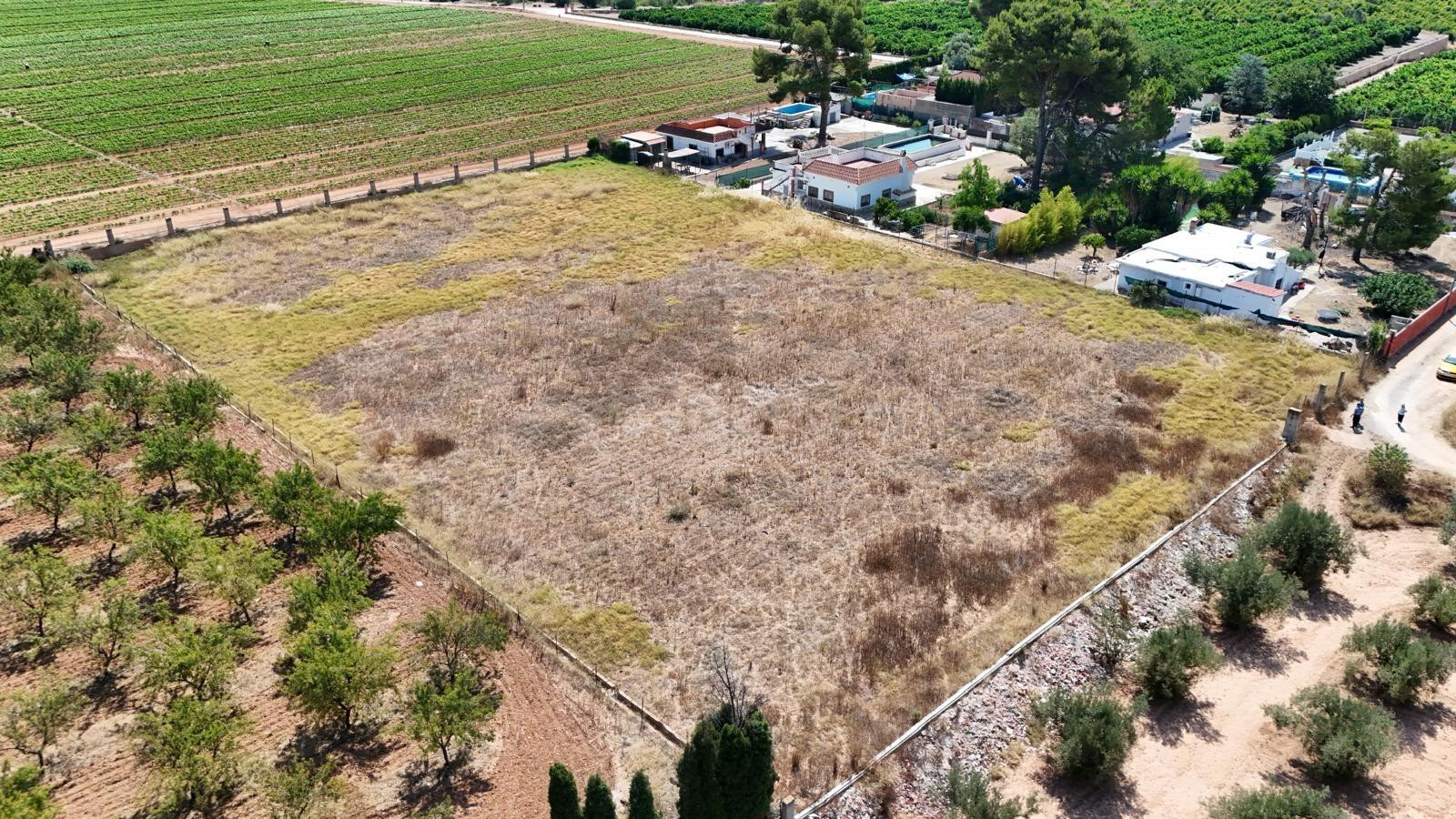 TERRENO RUSTICO CON AGUA - foto 2