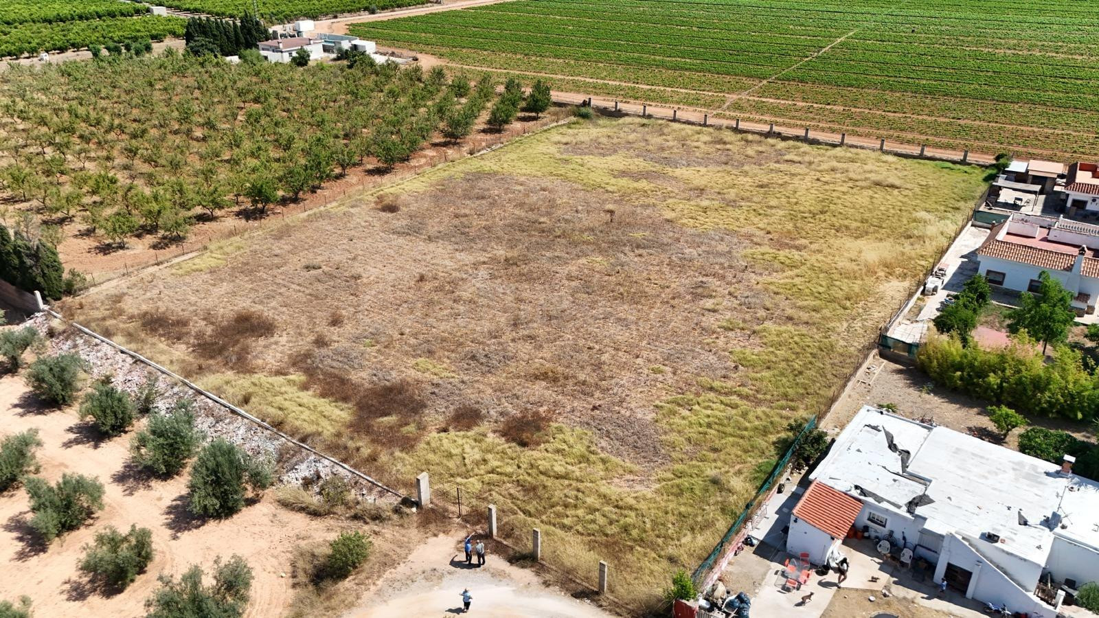 TERRENO RUSTICO CON AGUA - foto 3