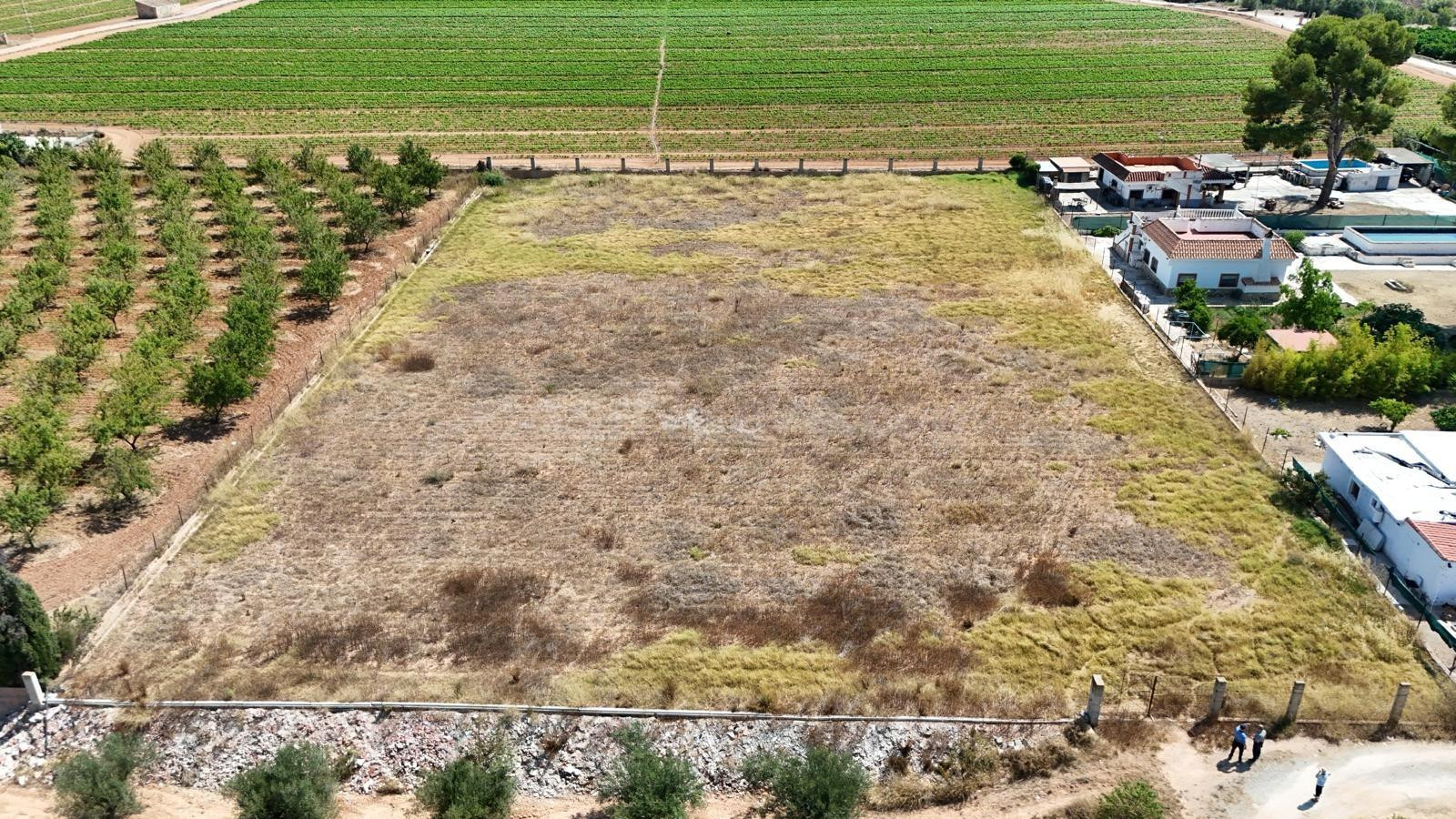 TERRENO RUSTICO CON AGUA - foto 4