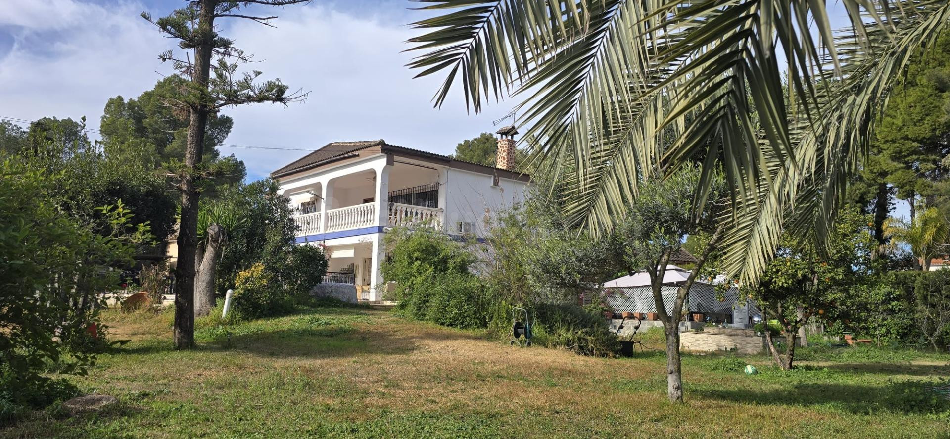 Amplia propiedad con piscina y 1.400 m2 de parcela en Pedral - foto 3